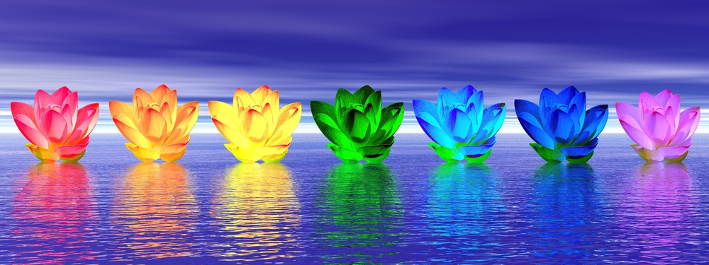 Bigstock lily flowers chakras by night 28267178